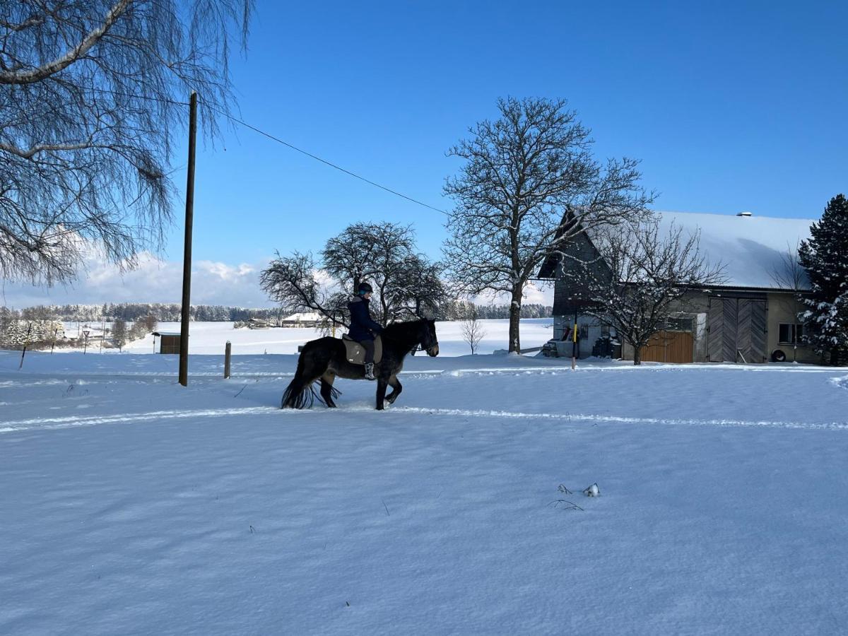 Pferdehof Thomayer Strasswalchen Luaran gambar
